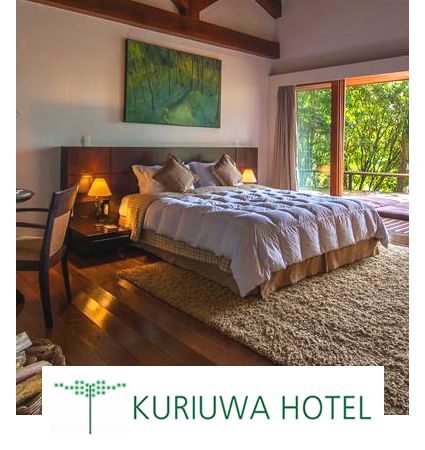 Kuriuwa3